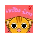 น้องเหมียวตากลม
