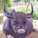 สมาชิกหมายเลข 756328