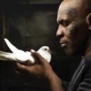 สมาชิกหมายเลข 2105697