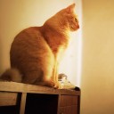 ปัดเมฆพบตะวัน