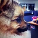 สมาชิกหมายเลข 928089