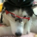 สมาชิกหมายเลข 1373630