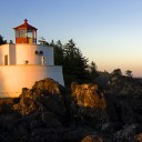 สมาชิกหมายเลข 1660075