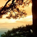 สมาชิกหมายเลข 858531