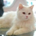 สมาชิกหมายเลข 3331423