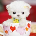 สมาชิกหมายเลข 1043515