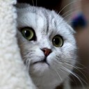 สมาชิกหมายเลข 1198299