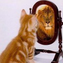 สมาชิกหมายเลข 3334715