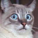 โดเรม่อนโหด