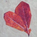 สมาชิกหมายเลข 859258