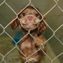 สมาชิกหมายเลข 859334