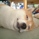 สมาชิกหมายเลข 859428