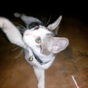 สมาชิกหมายเลข 2895992