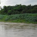 สมาชิกหมายเลข 859868