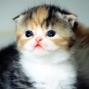 สมาชิกหมายเลข 2107196