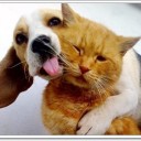 สมาชิกหมายเลข 2495365