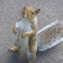 สมาชิกหมายเลข 1638740