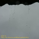 สมาชิกหมายเลข 3329403