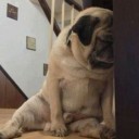 ต้มยำขาหมู