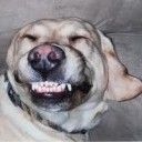 สับสนจัง