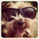 สมาชิกหมายเลข 860707