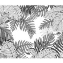 สมาชิกหมายเลข 754742