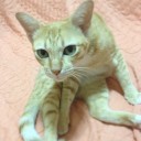 สมาชิกหมายเลข 861165