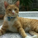 สมาชิกหมายเลข 1215294