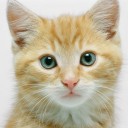 สมาชิกหมายเลข 2101375