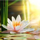 สมาชิกหมายเลข 970601