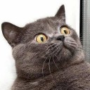 สมาชิกหมายเลข 1260053