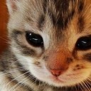 สมาชิกหมายเลข 1260320