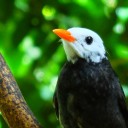 สมาชิกหมายเลข 2899045