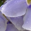 สมาชิกหมายเลข 759718