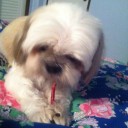 สมาชิกหมายเลข 861887