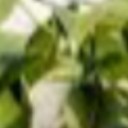 สมาชิกหมายเลข 2461868