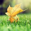 สมาชิกหมายเลข 2882111