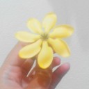 สมาชิกหมายเลข 2899547