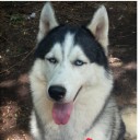 สมาชิกหมายเลข 1543194