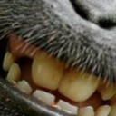 เฮียคึกคัก