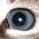 สมาชิกหมายเลข 862373