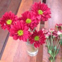 สมาชิกหมายเลข 1155267