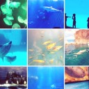 สมาชิกหมายเลข 1261118