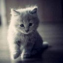 สมาชิกหมายเลข 2498928