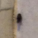 สมาชิกหมายเลข 2498950