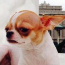 สมาชิกหมายเลข 2899921