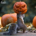 สมาชิกหมายเลข 2900420