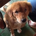 สมาชิกหมายเลข 3321984