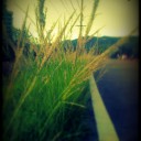 สมาชิกหมายเลข 863130