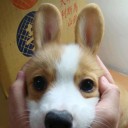 สมาชิกหมายเลข 1053364